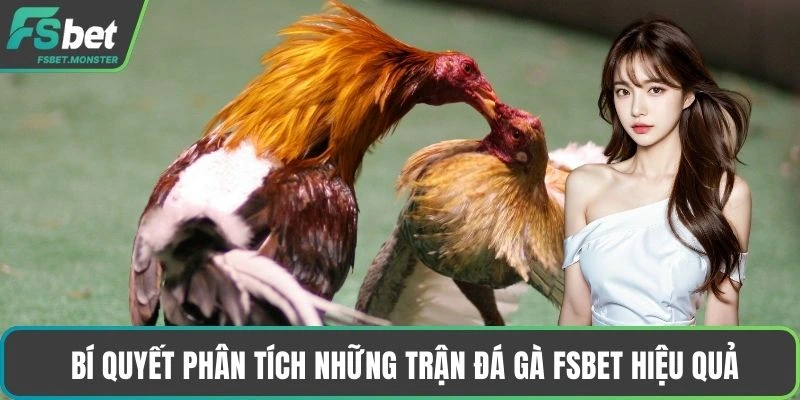 Bí quyết phân tích những trận đá gà Fsbet hiệu quả
