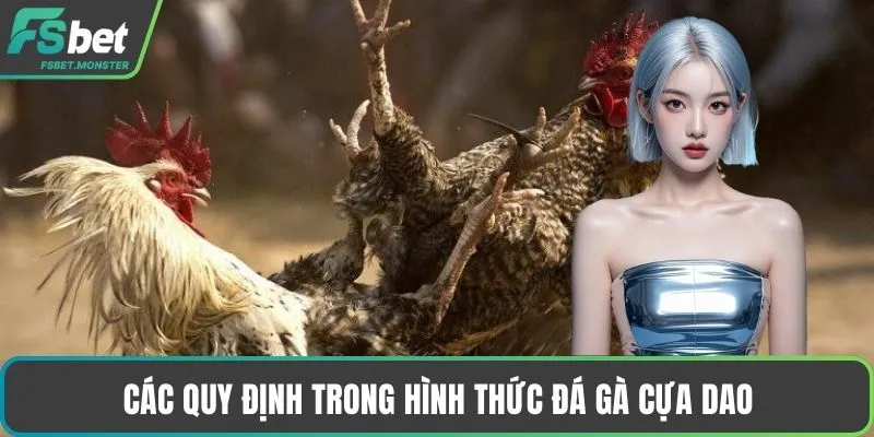 Các quy định trong hình thức đá gà cựa dao