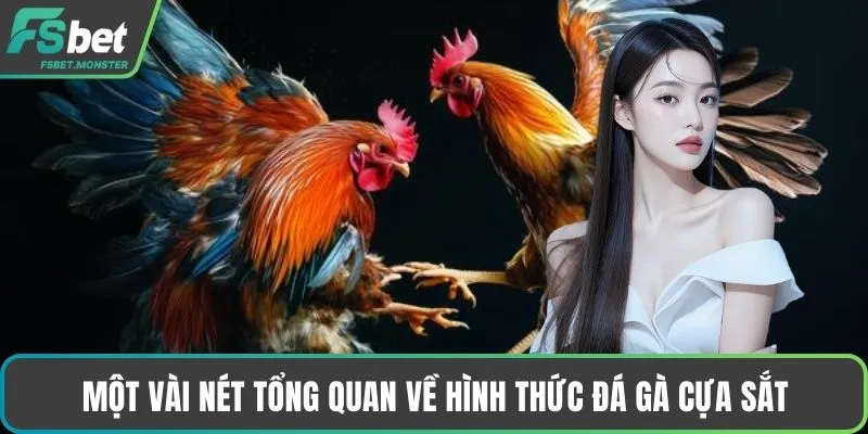 Một vài nét tổng quan về hình thức đá gà cựa sắt