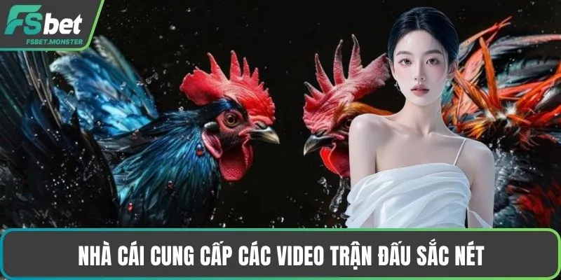Nhà cái cung cấp các video trận đấu sắc nét