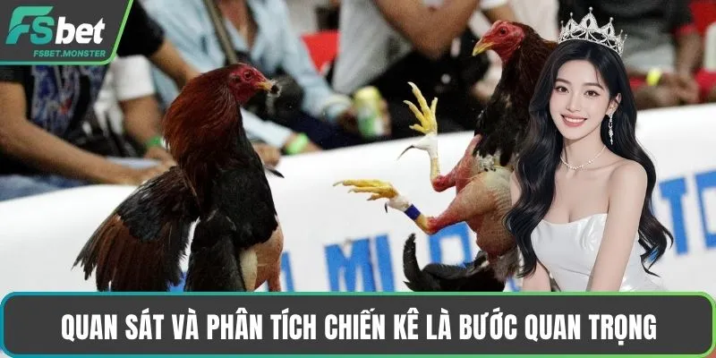 Quan sát và phân tích chiến kê là bước quan trọng