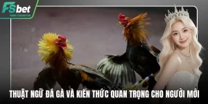 Thuật ngữ đá gà