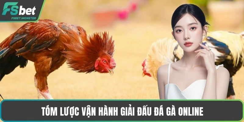 Tóm lược vận hành giải đấu đá gà online