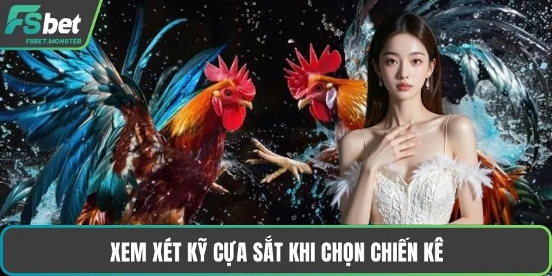 Xem xét kỹ cựa sắt khi chọn chiến kê